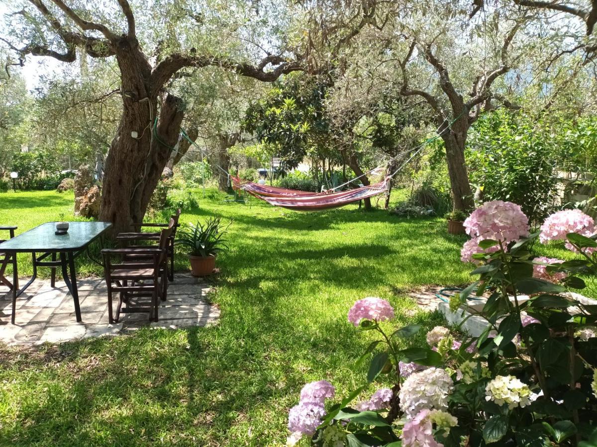 Olive Garden Villas And Apartments クリッシ・アモウディア 部屋 写真