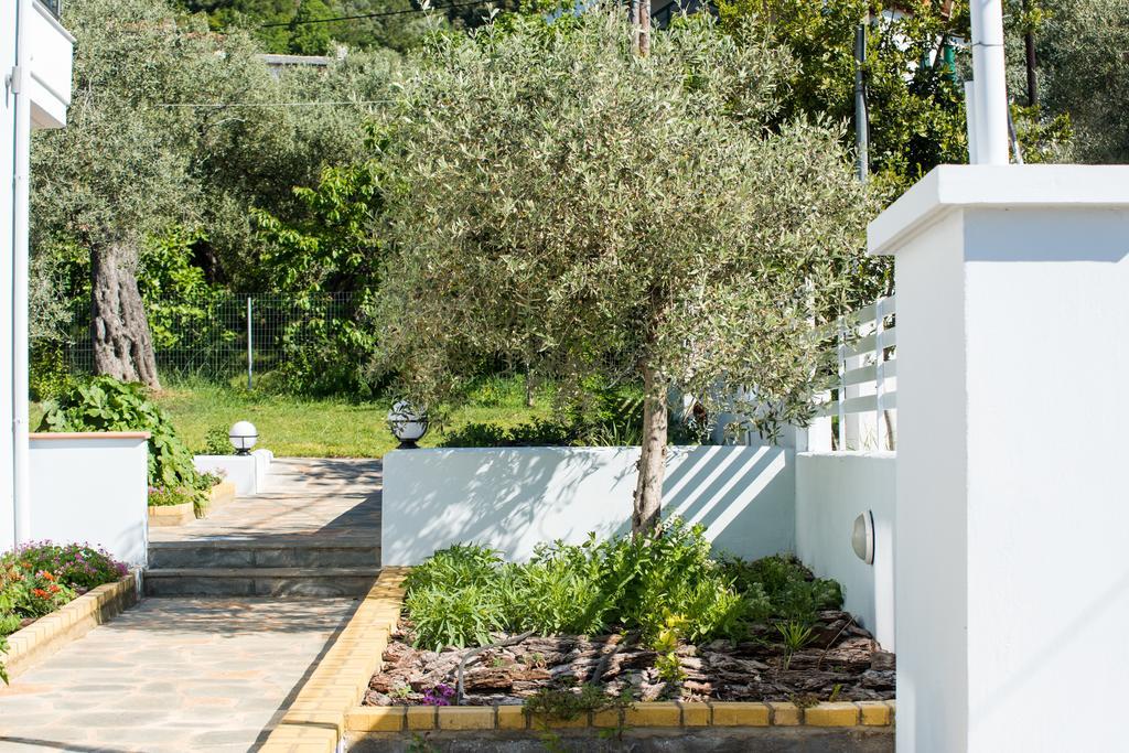 Olive Garden Villas And Apartments クリッシ・アモウディア エクステリア 写真